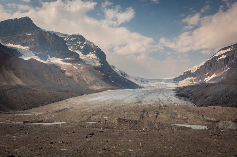 132 Canada, Jasper NP, athabasca gletsjer.jpg